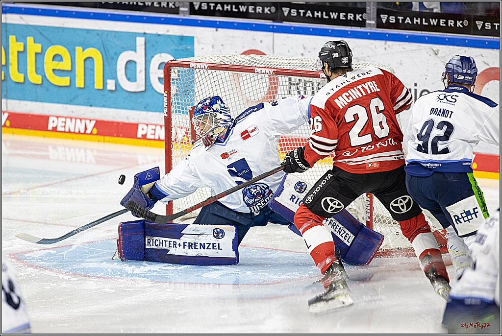 PENNY DEL;  Koelner Haie - Straubing Tigers; Koeln, 28.12.2022